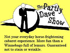 Partly Dave box ad